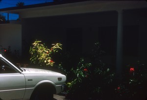 Jamaica 78